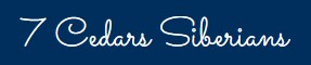 Kitails Siberians 7 Cedars Logo