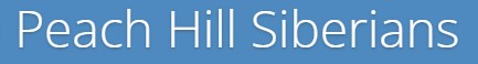 Kitails Siberians Peach Hill Siberians Logo